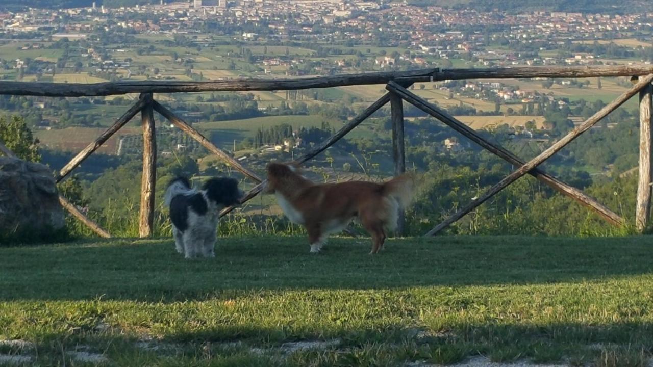 Agriturismo Countryhouse Le Giare Gubbio Luaran gambar