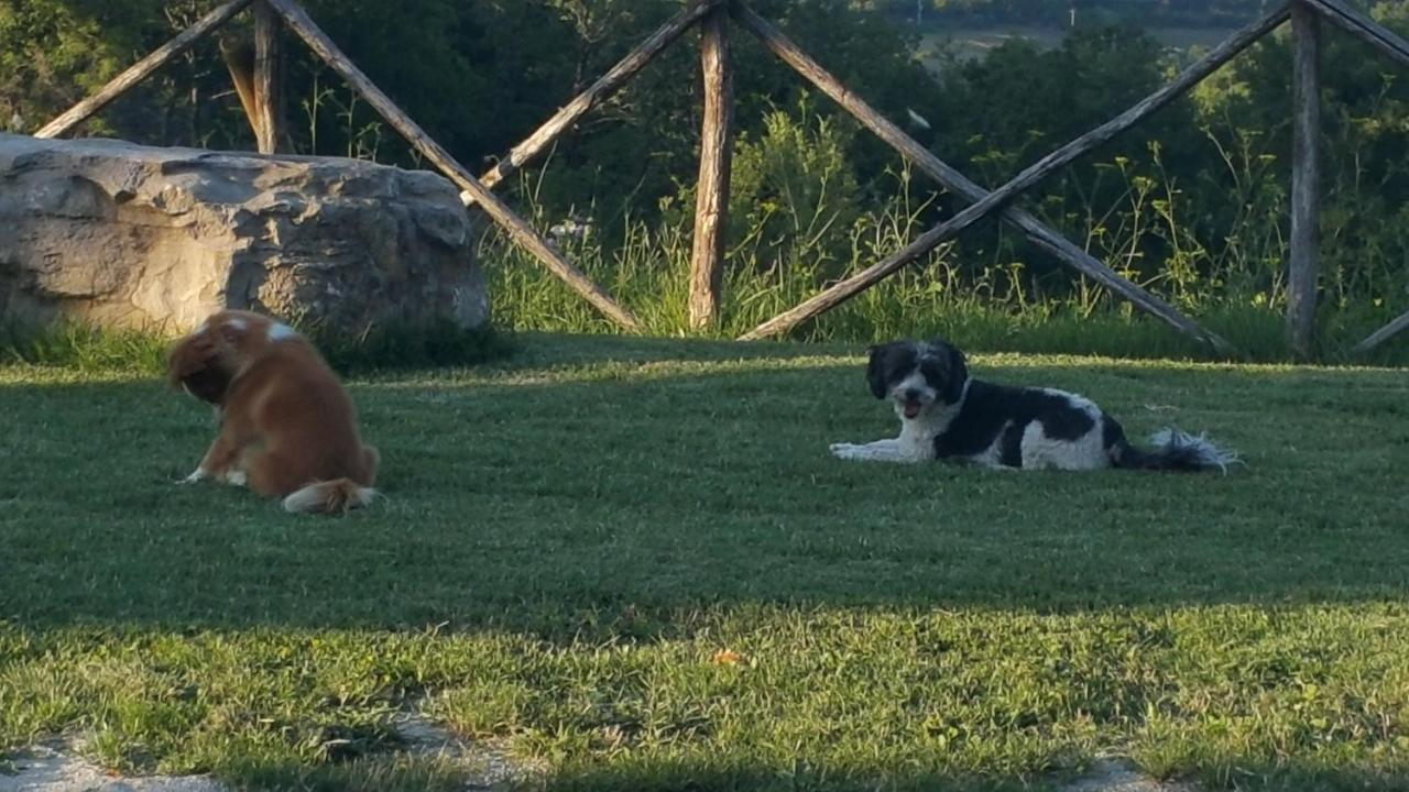 Agriturismo Countryhouse Le Giare Gubbio Luaran gambar